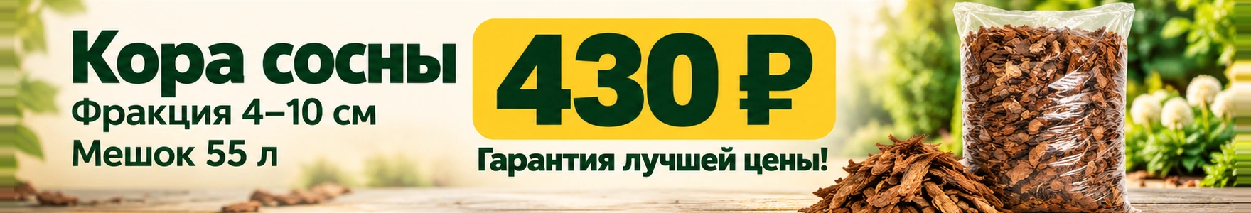 Кора 55
